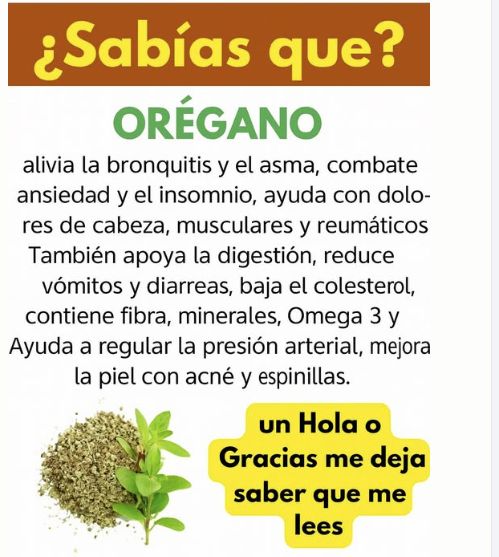 Descubre porqué el orégano es la Hierba más poderosa