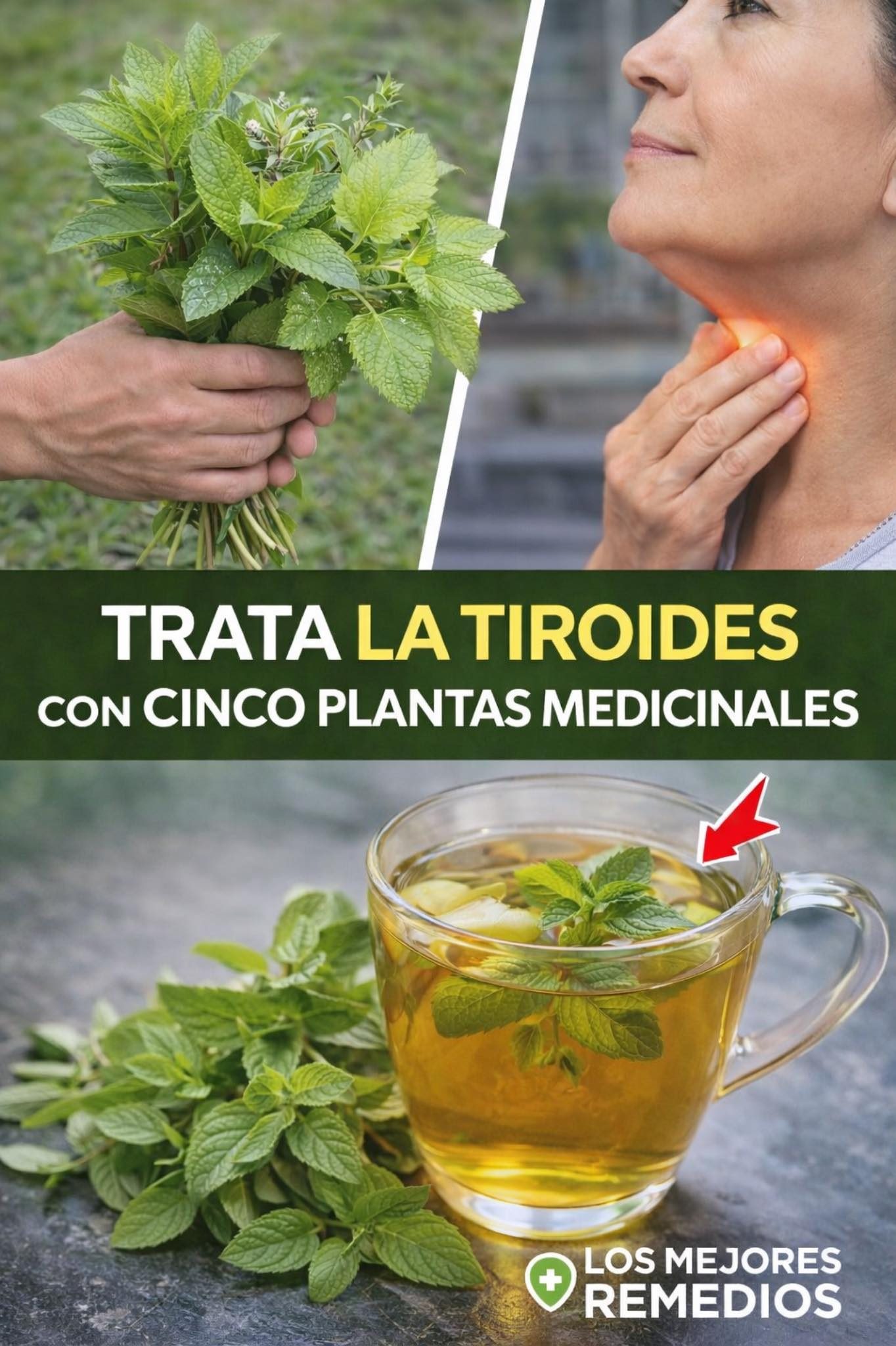 💚 Así puedes apoyar tu tiroides con remedios naturales que pocos conocen 👉 Si me lees, regálame un hola o gracias. Mira las recetas paso a paso en el primer comentario.