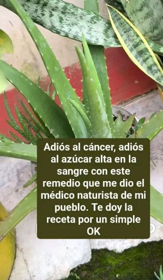 Adiós al cáncer, adiós al azúcar alta en la sangre con este remedio que me dio el médico naturista de mi pueblo. Te doy la receta por un simple OK