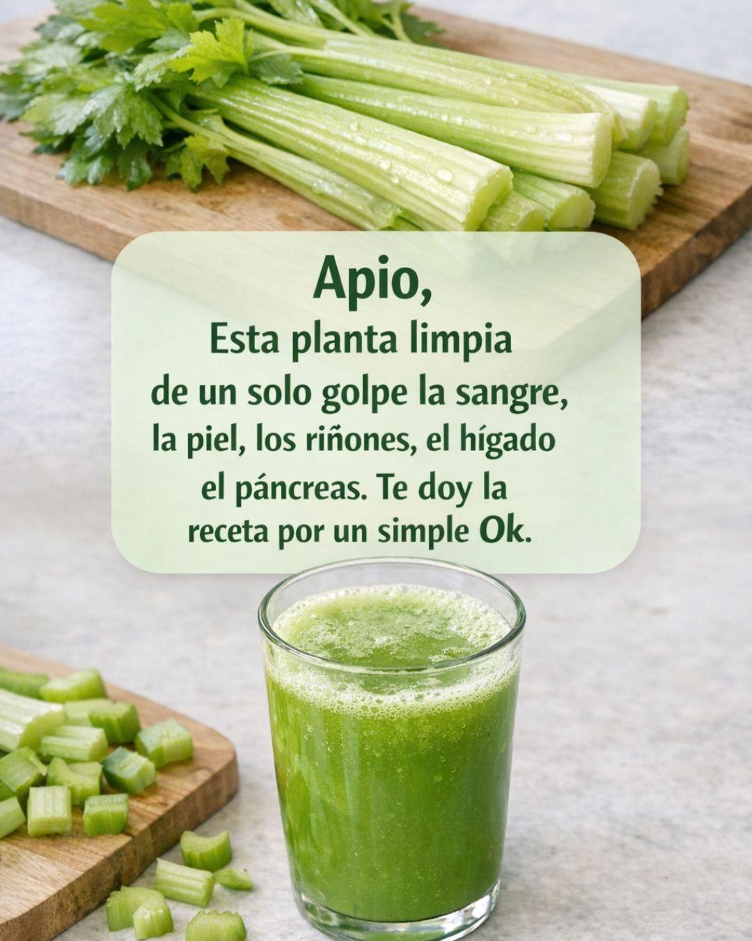 Está, planta limpia de un solo golpe la sangre, la piel, los riñones, el hígado y el páncreas. Pero hazlo de esta manera..Para seguir recibiendo mis recetas, solo debes decir algo… ¡Gracias!…Para seguir recibiendo mis recetas, solo debes decir algo… ¡Gracias!