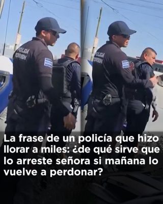 Ya me cansé de arrestarlo y tú lo perdonas